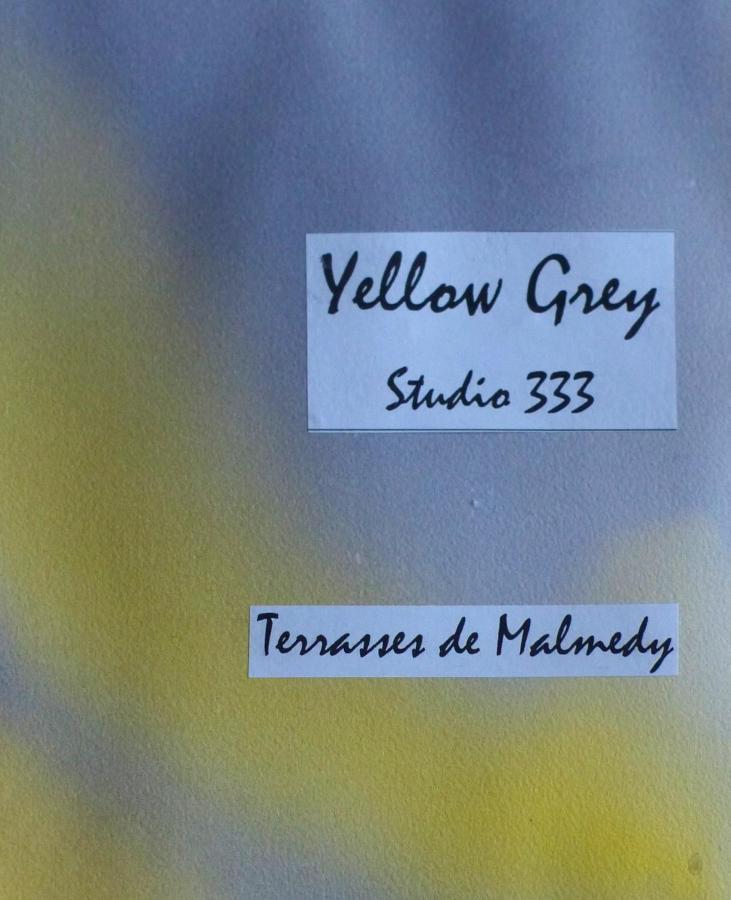 Les Terrasses De Malmedy Studio 333 Yellow Grey Esterno foto